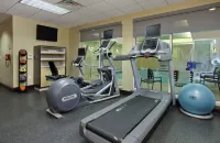 Hilton Garden Inn Sonoma County Airport - Gym