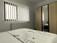 Cozy 1 bedroom apartment in the center of Magurele city Hotels in 