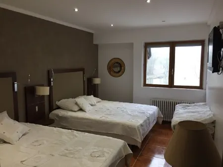 Gîte for birthdays and celebrations 1 hour from Paris sleeps 31 + room sleeps 70