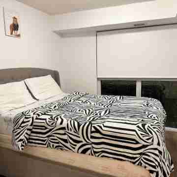 Lovely 1Br Condo in the heart of downtown Toronto Rooms