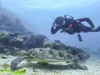 A real African bush experience with the perfect blend of home comforts. Hotels in Emangusi