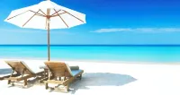 #1 Siesta Key Beach -Super Clean -2 Level Townhouse -2Br/2.5 Bth- 5 Star- 1400sf