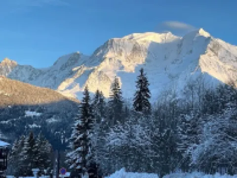 Apartment at the foot of the Bettex slopes with breathtaking views of Mont Blanc