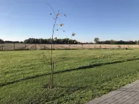 Vacation apartments Königsgut Emmericher Eyland (apartment 2) Kalkar 호텔