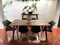 Casa Xolo!