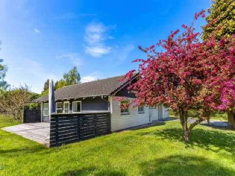 "Prohor" - 150m from the sea Hotels near Wedele’s Hus