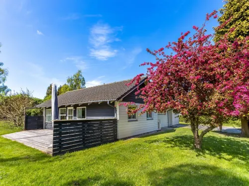 "Prohor" - 150m from the sea