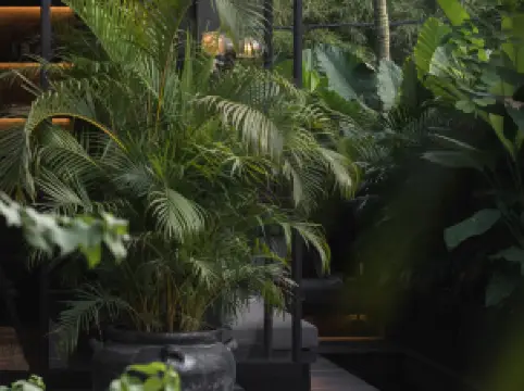 波希米亞峇裏島，Design Hotels成員