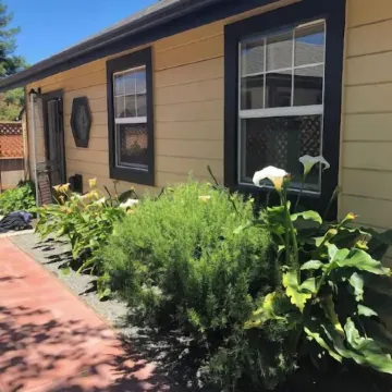 The HumBee Studio