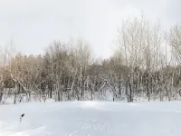 Lovely Place in Prime Location-Near Trails-Hot Tub