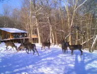 Beautiful Secluded Cabin with hot tub on 50 acres
