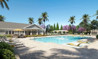 Landing Apartments Palm Bay