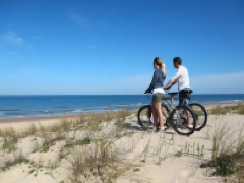 智選假日酒店-希爾頓頭島 希爾頓黑德島酒店
