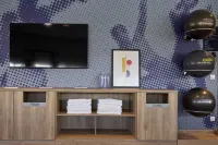 Hampton by Hilton Lyon  Airport - Træningscentre