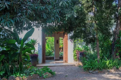 Mitengo House Hotels in 