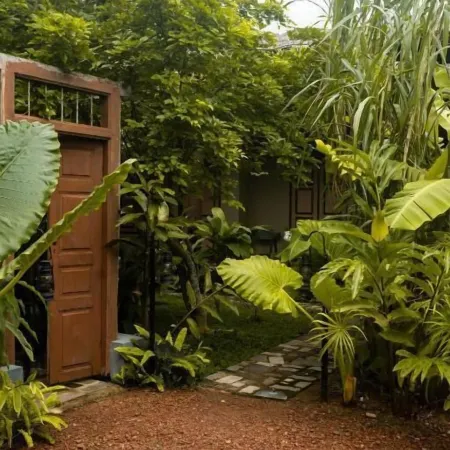 Banana Bunks Mirissa