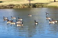 Lakefront Getaway w/ Hot Tub & Yard in OKC! - Apartment
