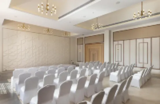 丁香庫姆巴科南 坦賈武爾酒店