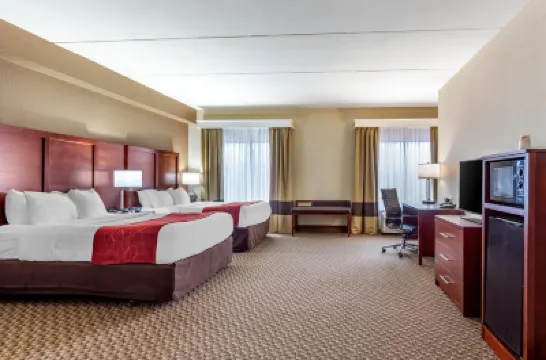 Comfort Suites Smyrna Hotels in Rutherford County