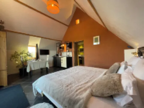 埃科多曼樂維林-度假屋和水療 里克酒店