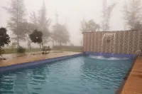 Prakriti Agro Farm - Pools