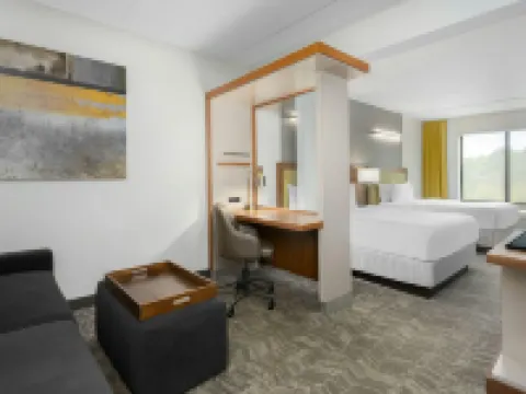 SpringHill Suites Athens West Hotels in Oconee County