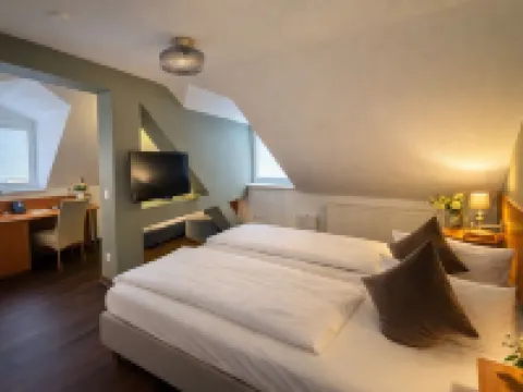 ホテル バイリシャー ホフ ハイデルベルクのホテル