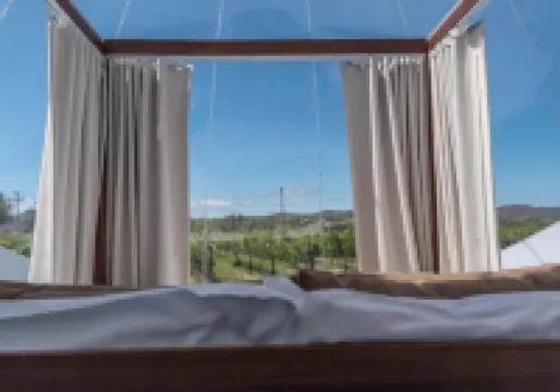 Campera Valle de Guadalupe