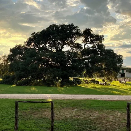 Private, Redwood Cabin with Endless Hill Country Views. Horse & Dog Friendly!