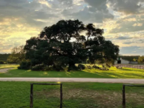Private, Redwood Cabin with Endless Hill Country Views. Horse & Dog Friendly!