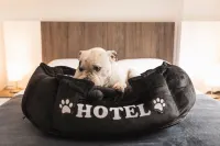 Hotel Boutique Business Center