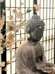 Asian Zen with Jacuzzi, Kitchenette, Near Victoria Sq