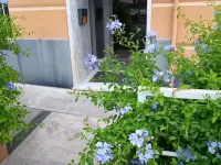 Work Travel and More Hotel a Pegli