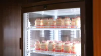 天然溫泉鶴舞之湯多米酒店千歲