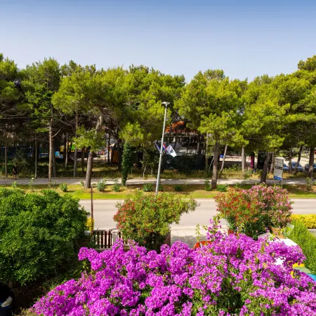 Drazen Charming First Floor Apartment