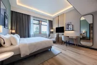 Radisson Hotel Amsterdam Schiphol Airport Hoofddorp - Wifi