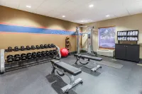 Hampton Inn & Suites Chicago-Libertyville - Træningscentre