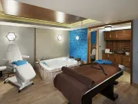 希爾頓逸林酒店-阿瓦諾斯-卡帕多西亞 - SPA