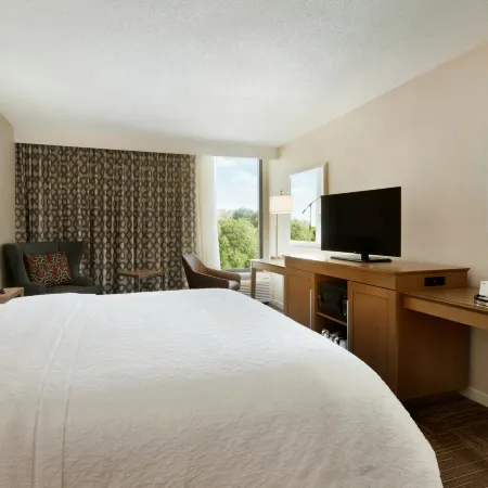 Hampton Inn Atlanta-Buckhead