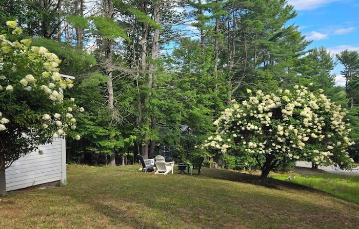 Cozy 2-bdrm, 3-season Adirondack cabin at tranquil Great Sacandaga Lake w/WiFi