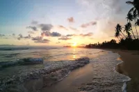Dickwella Beach Hotel - Beach