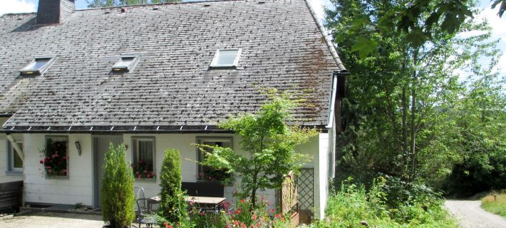 Blechnerhof Отели в г. Фельдберг