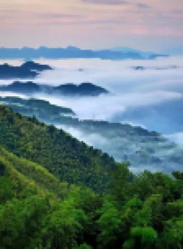 Suichang Bundles of B&B