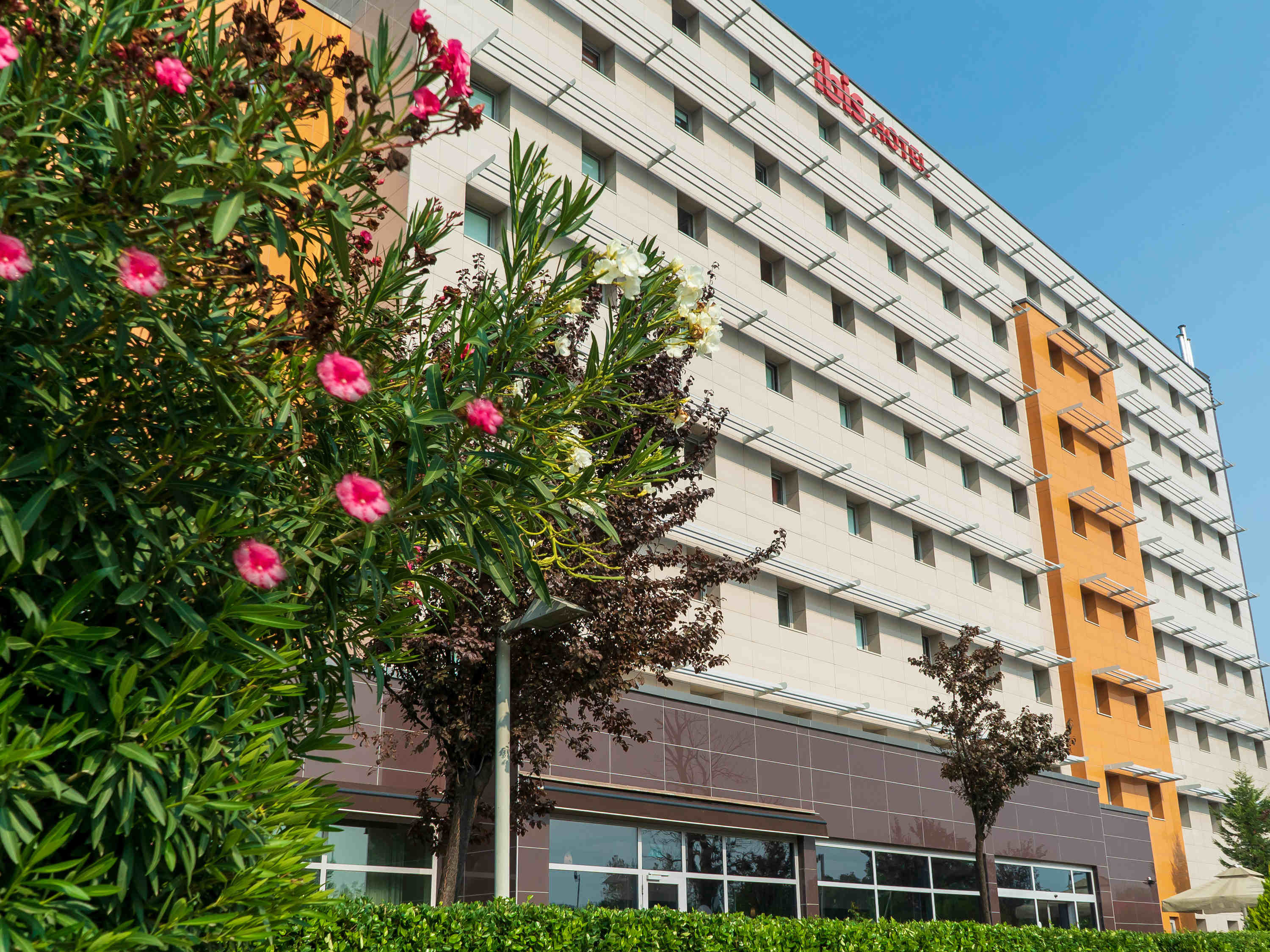 Ibis Bursa