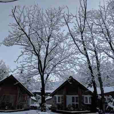 Span Resort and Spa, Manali Hotel Exterior