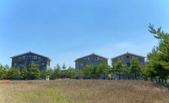 Gyeongju Stay 52 Pension (Pool)