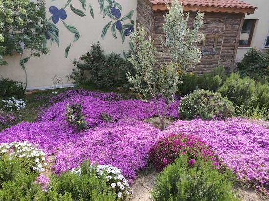 delice doga evi fevzi cakmak mahallesi updated 2021 price reviews trip com delice doga evi fevzi cakmak mahallesi updated 2021 price reviews trip com