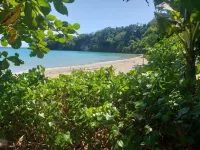 Sea Shell Palms, Ocho Rios Các khách sạn ở Oracabessa