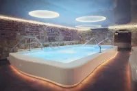 Pałac Brunów - Wellness & Spa Hotels in Boleslawiec