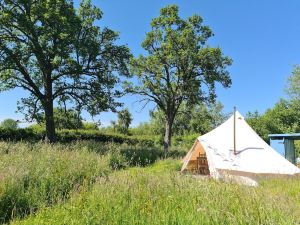 Glamping at the Homestead - Ensuite Bell Tent - Campsite